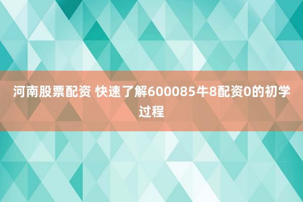 河南股票配资 快速了解600085牛8配资0的初学过程