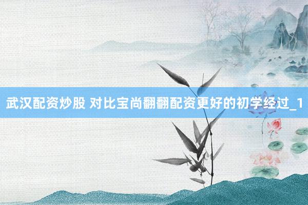 武汉配资炒股 对比宝尚翻翻配资更好的初学经过_1